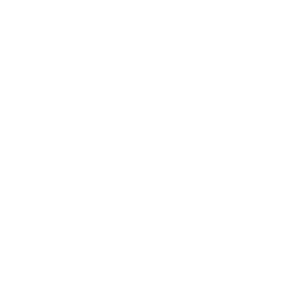 Salomon Active Sling Belt (Vihreä)